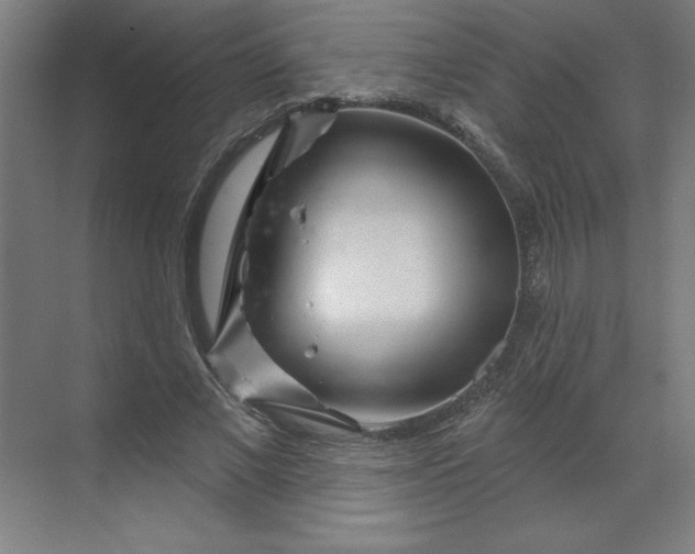 X0000070180685200606091507