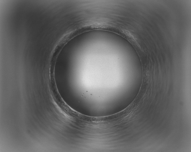 X0000070180686200606091507