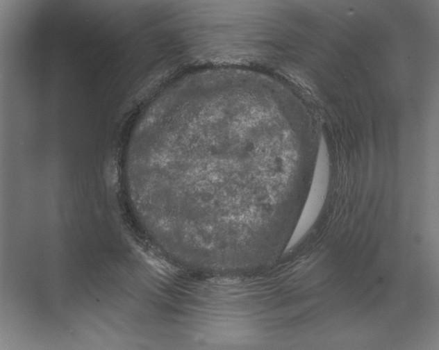 X0000070180687200606091507