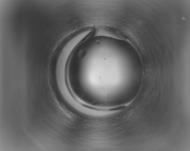 X0000070180688200606091507