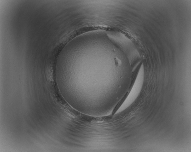 X0000070180689200606091507