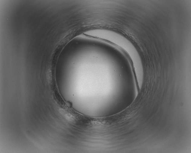 X0000070180690200606091507