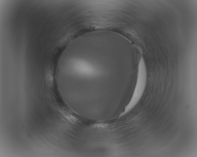 X0000070180691200606091507