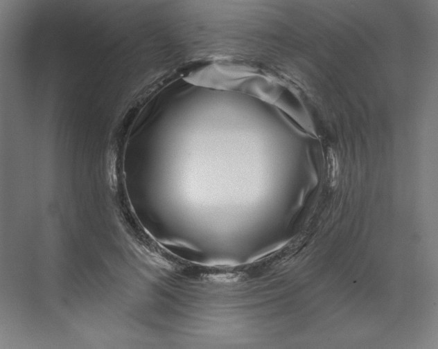 X0000070180692200606091507