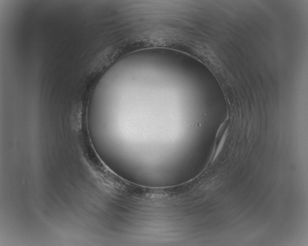 X0000070180694200606091507