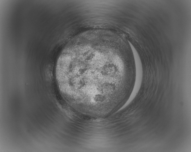 X0000070180695200606091507