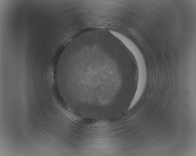 X0000070180696200606091507