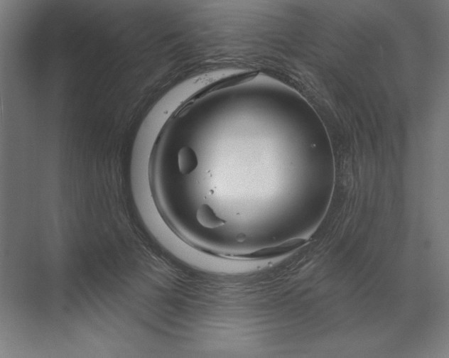 X0000070180697200606091507