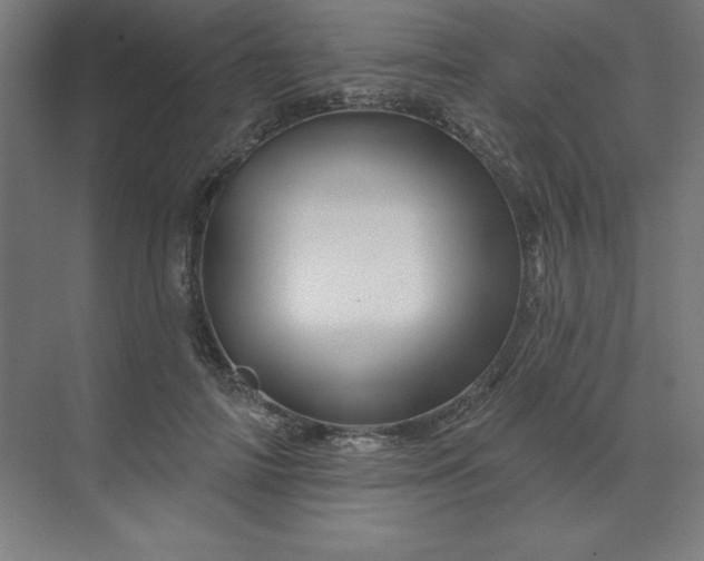 X0000070180698200606091507