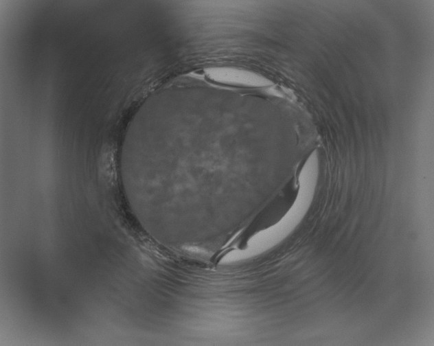 X0000070180699200606091507