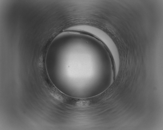 X0000070180700200606091507