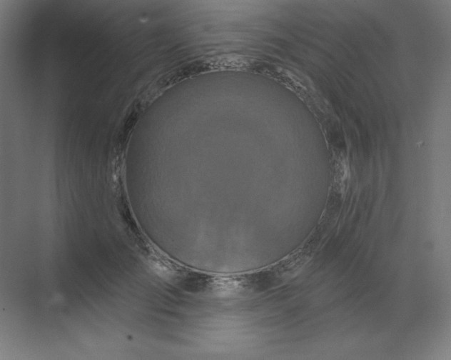 X0000070180701200606091507