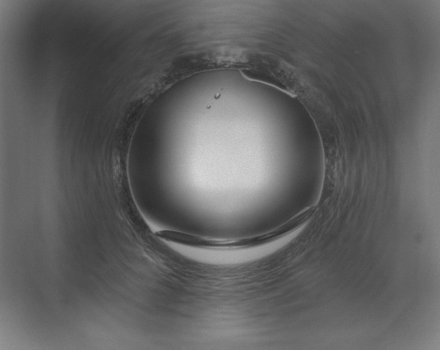 X0000070180704200606091507