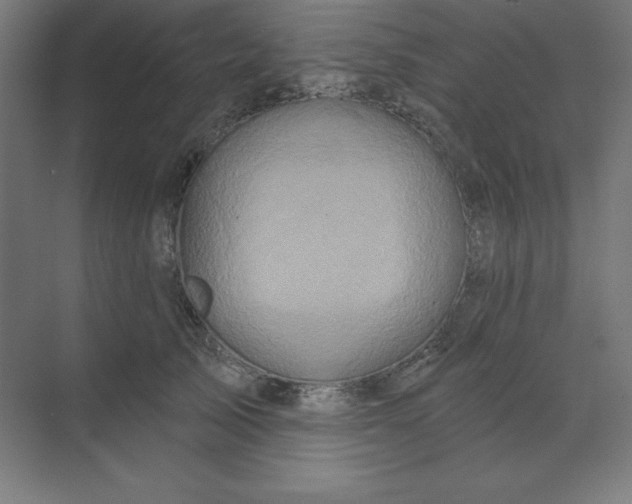 X0000070180705200606091507