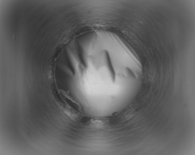 X0000070180706200606091507