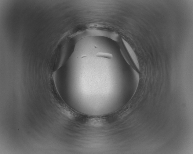 X0000070180708200606091507