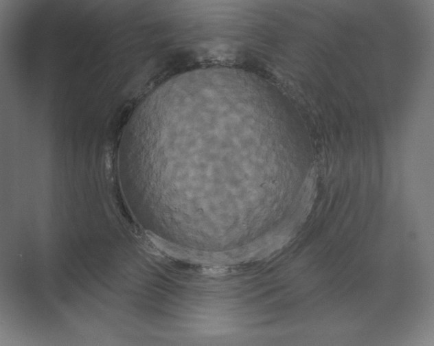 X0000070180709200606091507