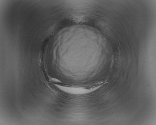 X0000070180710200606091507