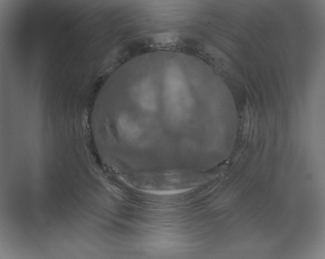 X0000070180711200606091507