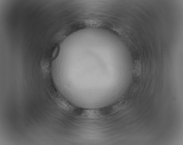 X0000070180713200606091506