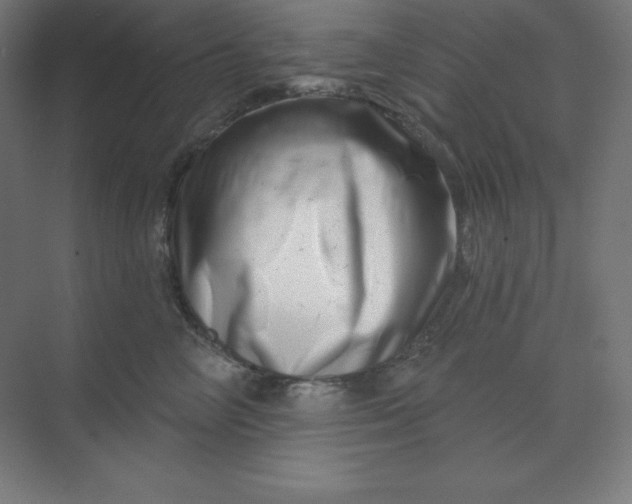 X0000070180714200606091506