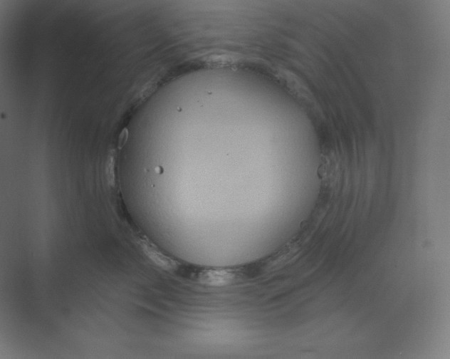 X0000070180717200606091506