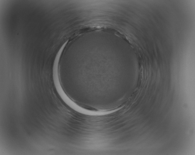 X0000070180718200606091506