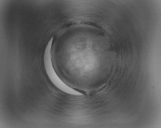 X0000070180719200606091506