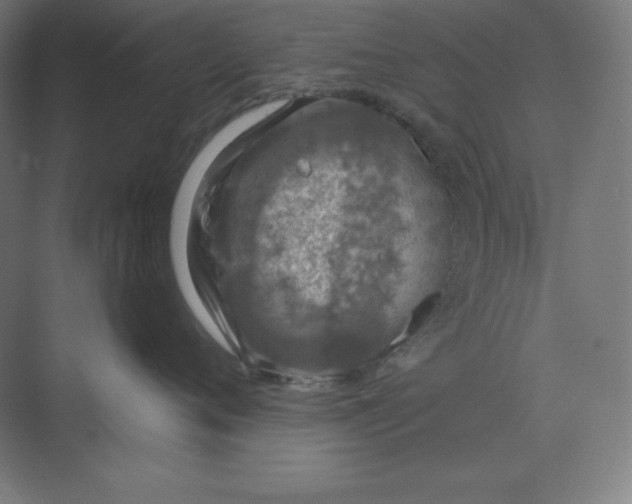 X0000070180720200606091506