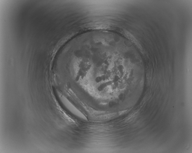 X0000070180721200606091506