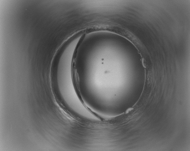 X0000070180722200606091506