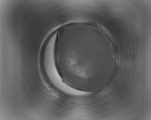 X0000070180724200606091506