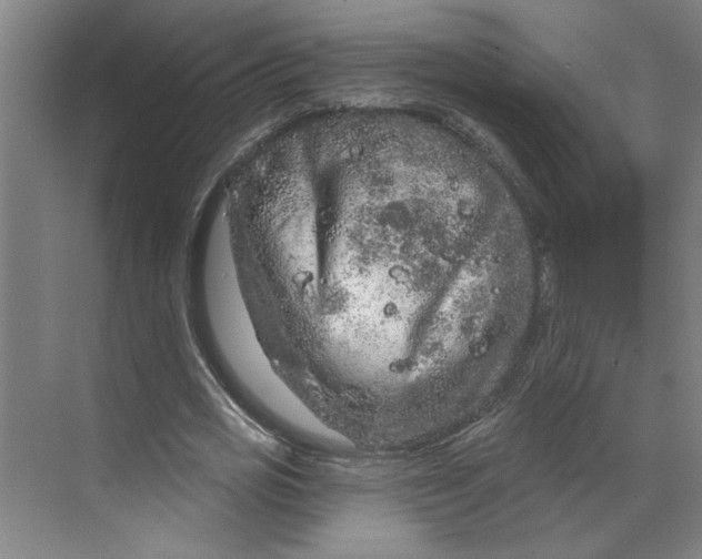 X0000070180725200606091506