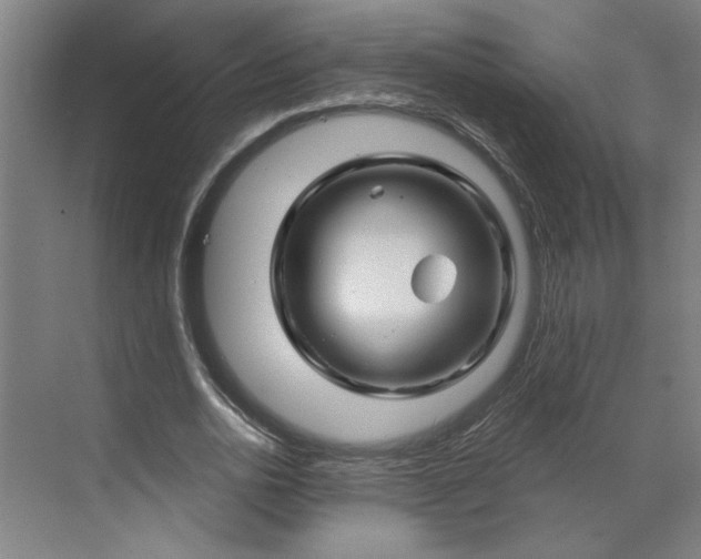 X0000070180726200606091506