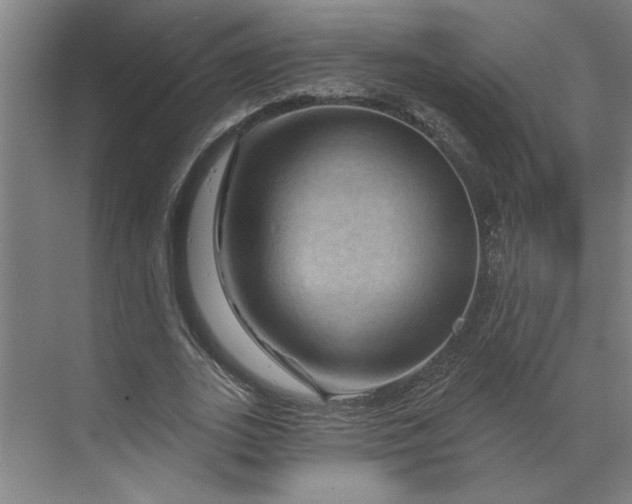 X0000070180727200606091506