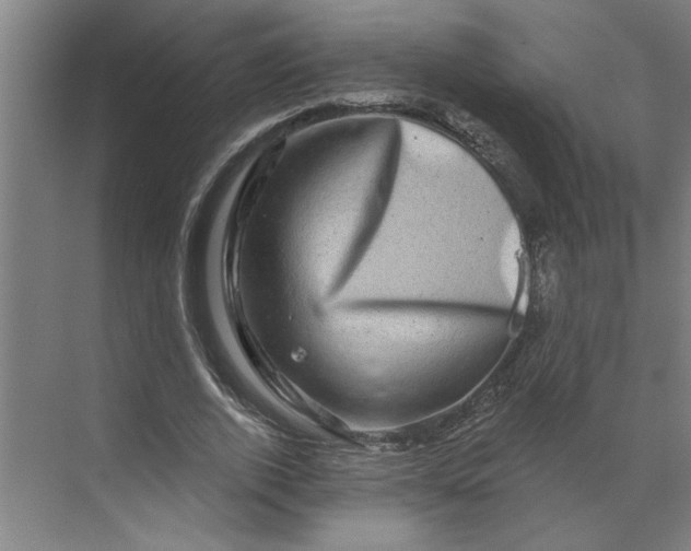 X0000070180728200606091506