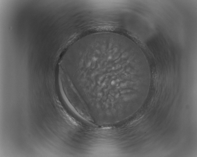 X0000070180729200606091506