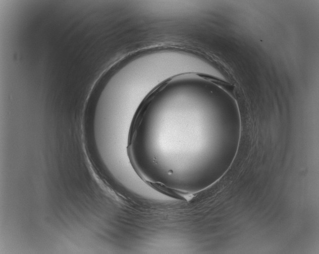 X0000070180730200606091506