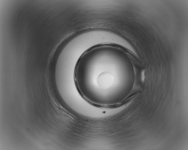 X0000070180731200606091506