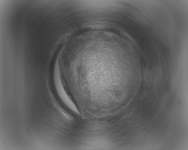 X0000070180733200606091506