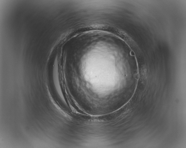 X0000070180734200606091506