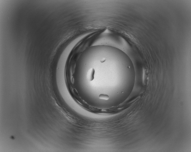 X0000070180735200606091506