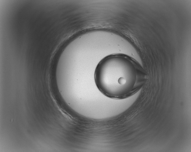 X0000070180736200606091506