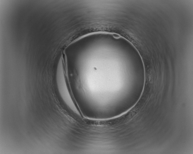 X0000070180737200606091506