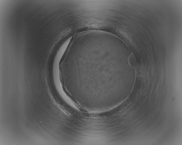 X0000070180738200606091506