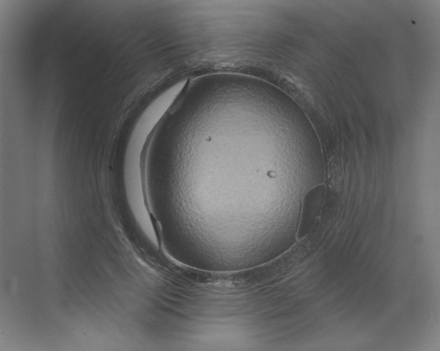 X0000070180740200606091506