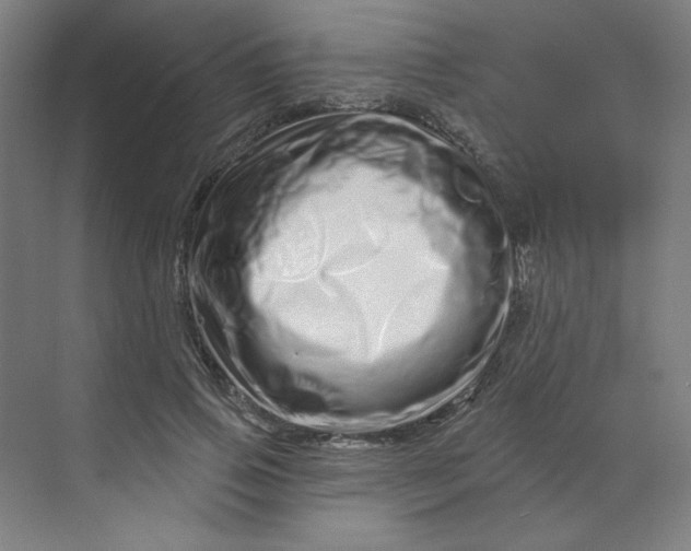 X0000070180741200606091506