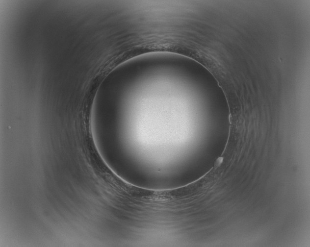 X0000070180743200606091506