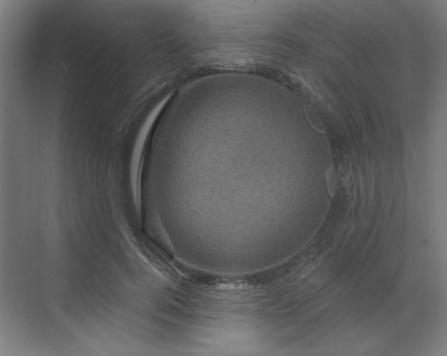 X0000070180744200606091506