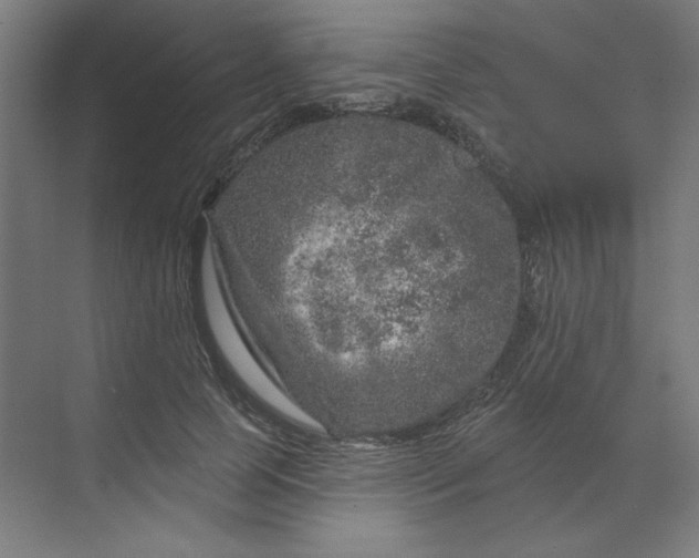 X0000070180745200606091506